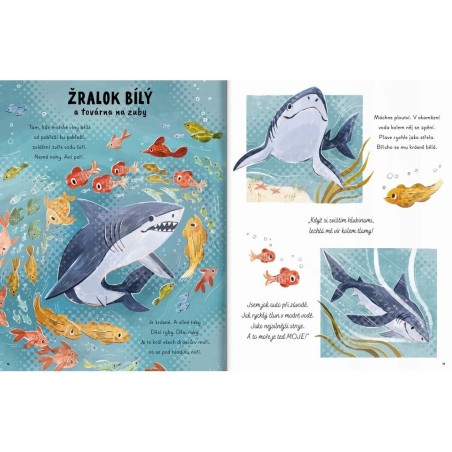 Svojtka Dětská kniha Pětiminutové příběhy z oceánu