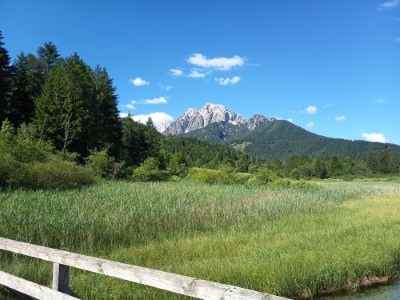 Rezervace Zelenci